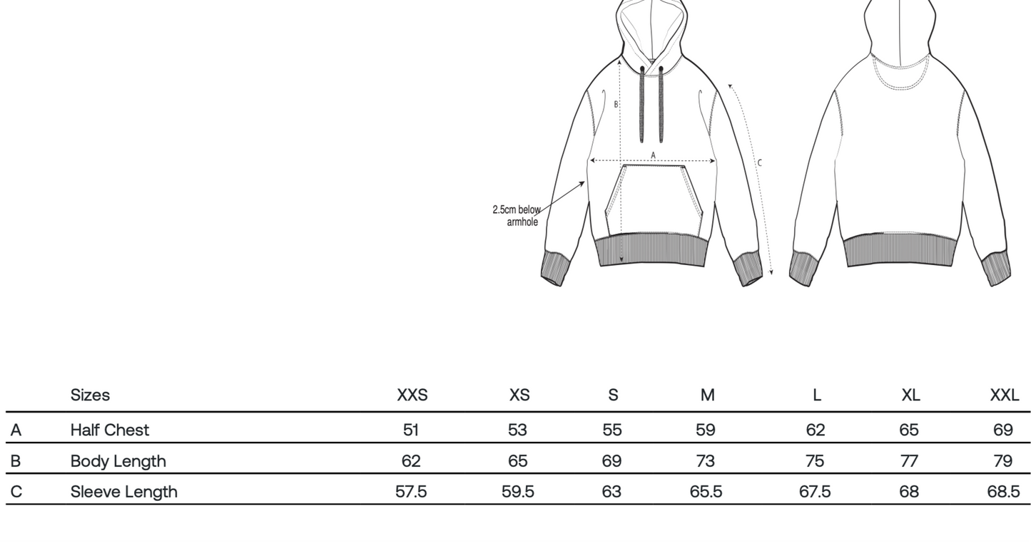 Checkered Flag-It's Lights Out And Away We Go Formula 1 Embroidered Premium Hoodies