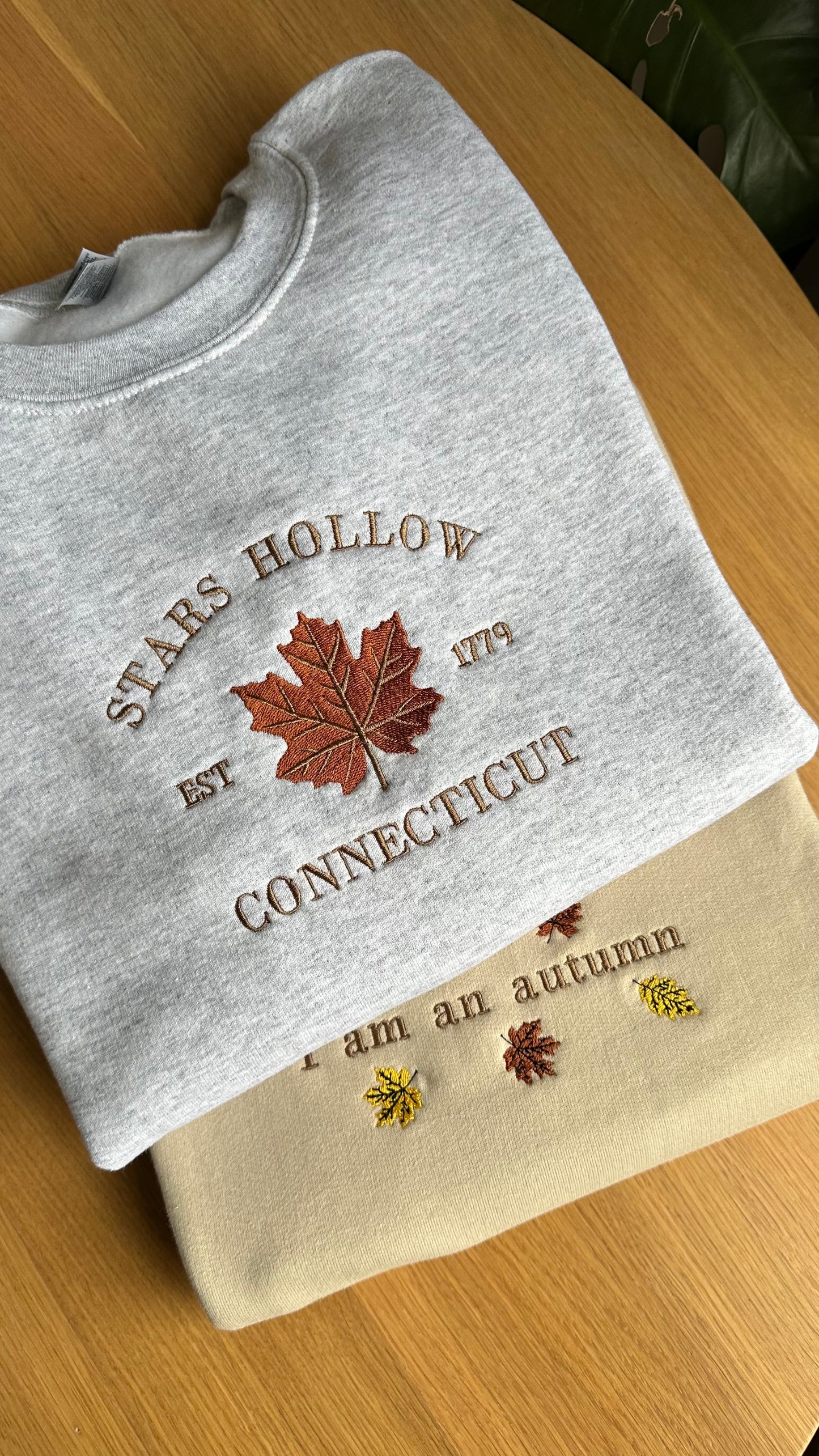 Embroidered Autumn Sweatshirt, Embroidered Fall Jumper, Stars Hollow Sweatshirt