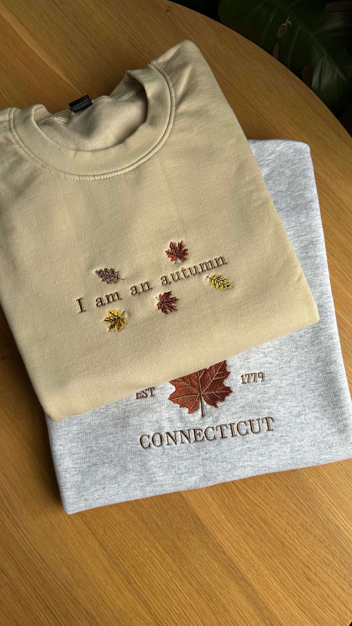 I Am An Autumn Embroidered Sweatshirt