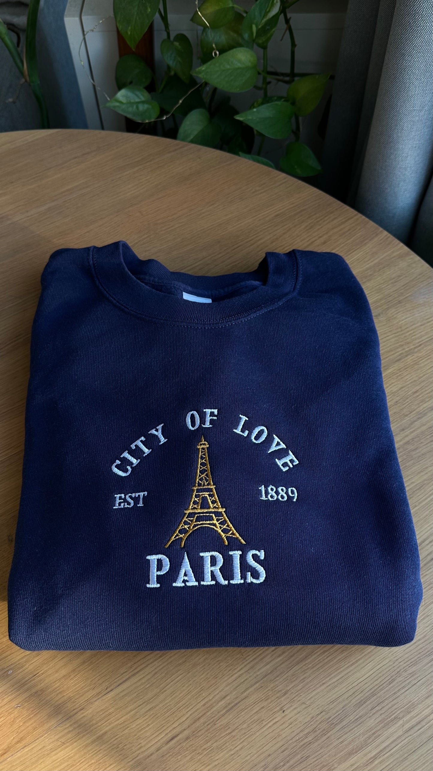 City of Love Paris Embroidered Sweatshirt Valentines Day Gift