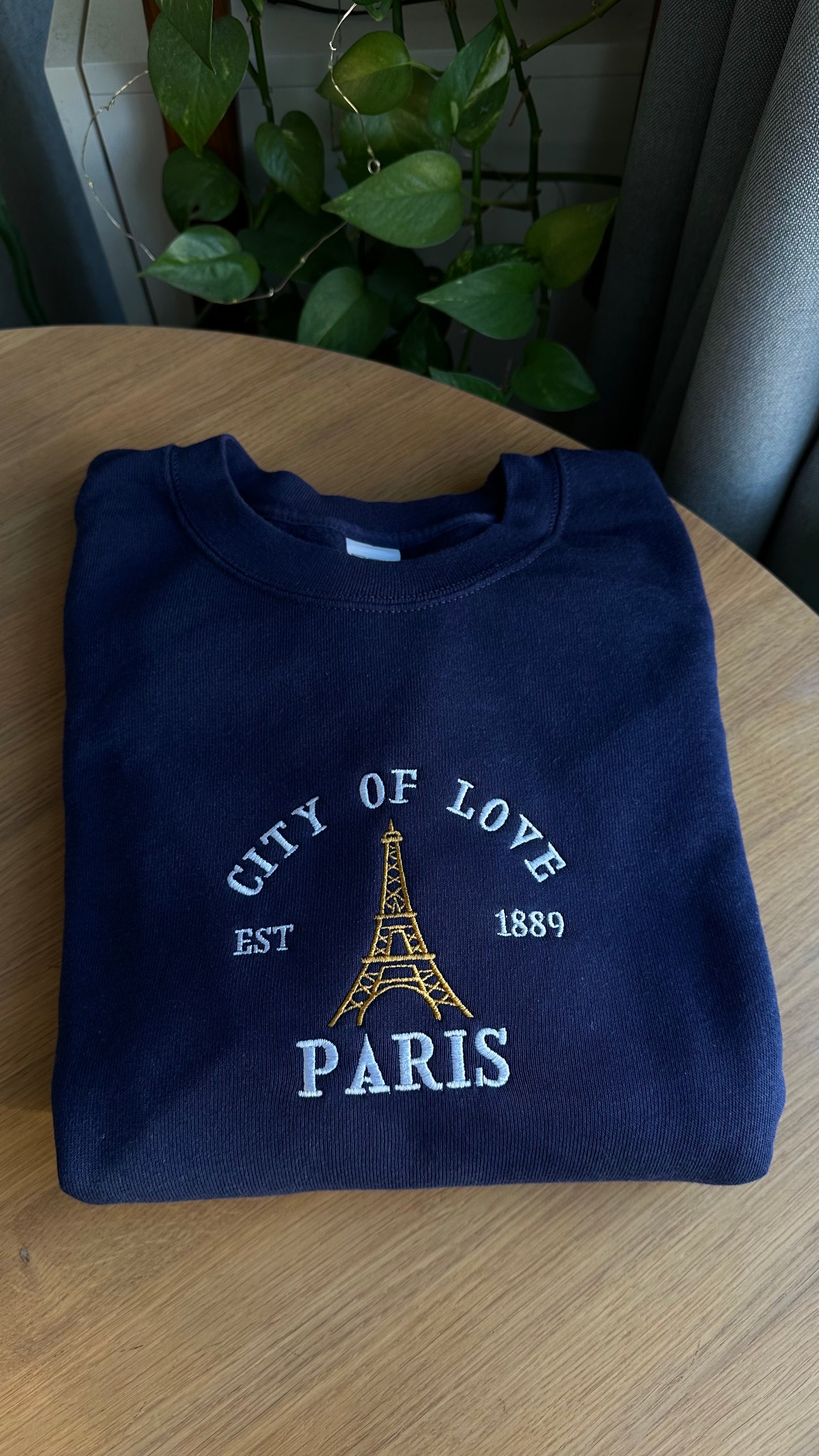 City of Love Paris Embroidered Sweatshirt Valentines Day Gift